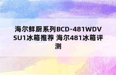 海尔鲜厨系列BCD-481WDVSU1冰箱推荐 海尔481冰箱评测